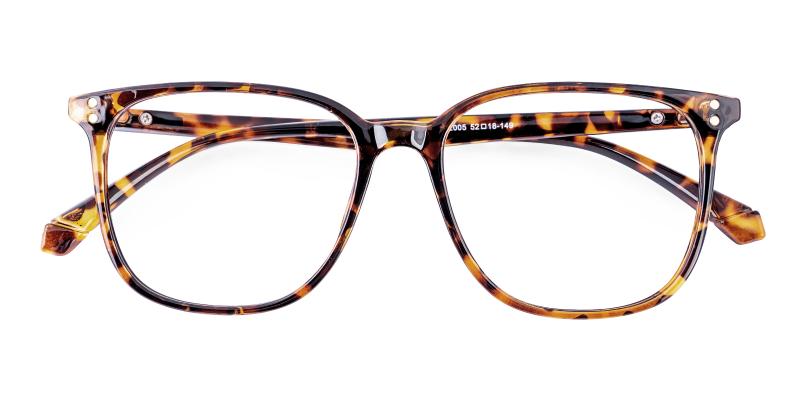 Needaster Tortoise  Frames from ABBE Glasses