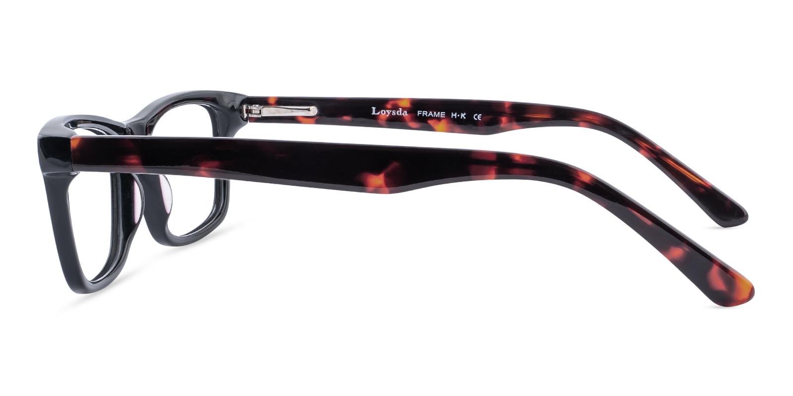 Megeous Tortoise Acetate Eyeglasses , SpringHinges , UniversalBridgeFit Frames from ABBE Glasses