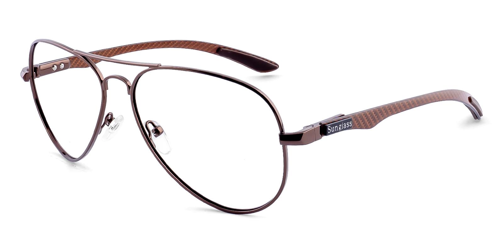Phloeant Brown Metal Eyeglasses , NosePads Frames from ABBE Glasses