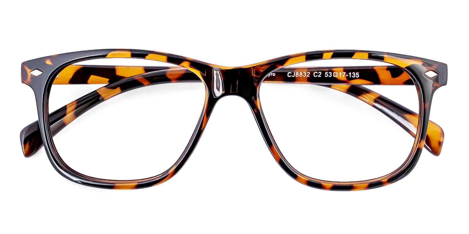 Ceramlet Leopard Plastic Eyeglasses , UniversalBridgeFit Frames from ABBE Glasses
