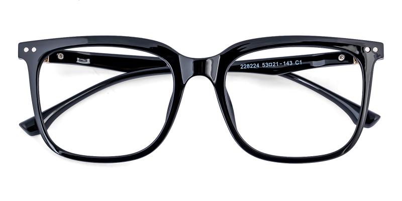 Palacle Black  Frames from ABBE Glasses