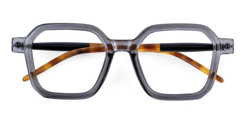 Leavetic Gray  Frames from ABBE Glasses