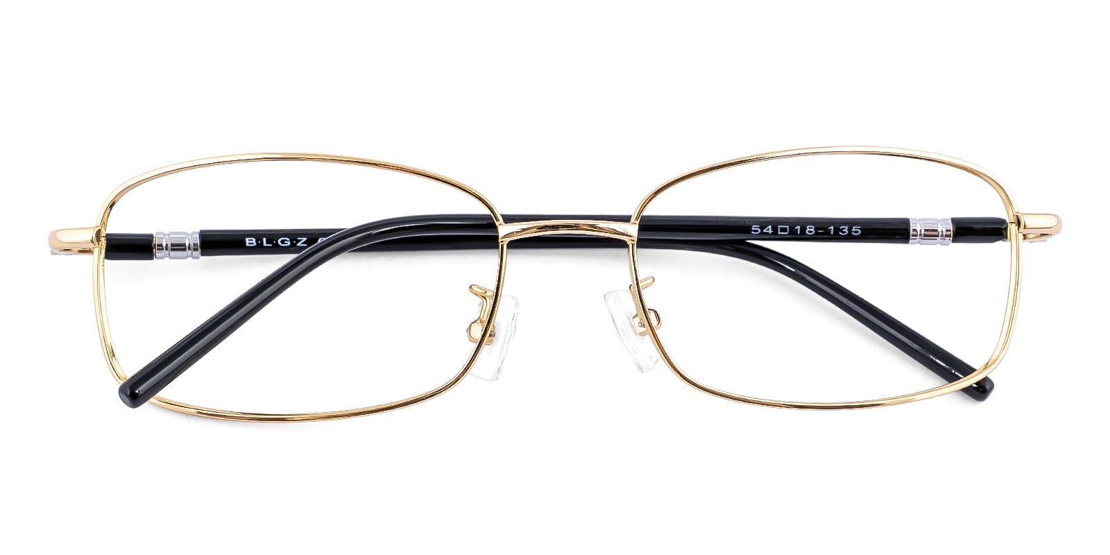 Finesome Gold Acetate , Metal Eyeglasses , SpringHinges , NosePads Frames from ABBE Glasses