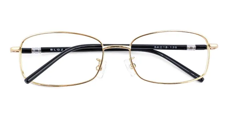 Finesome Gold  Frames from ABBE Glasses