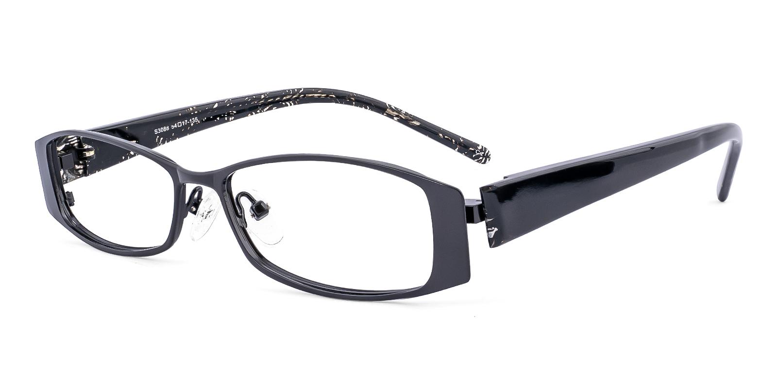 Plethment Black Acetate , Metal Eyeglasses , NosePads Frames from ABBE Glasses