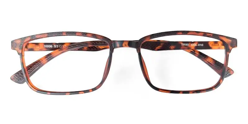 Mercair Tortoise  Frames from ABBE Glasses