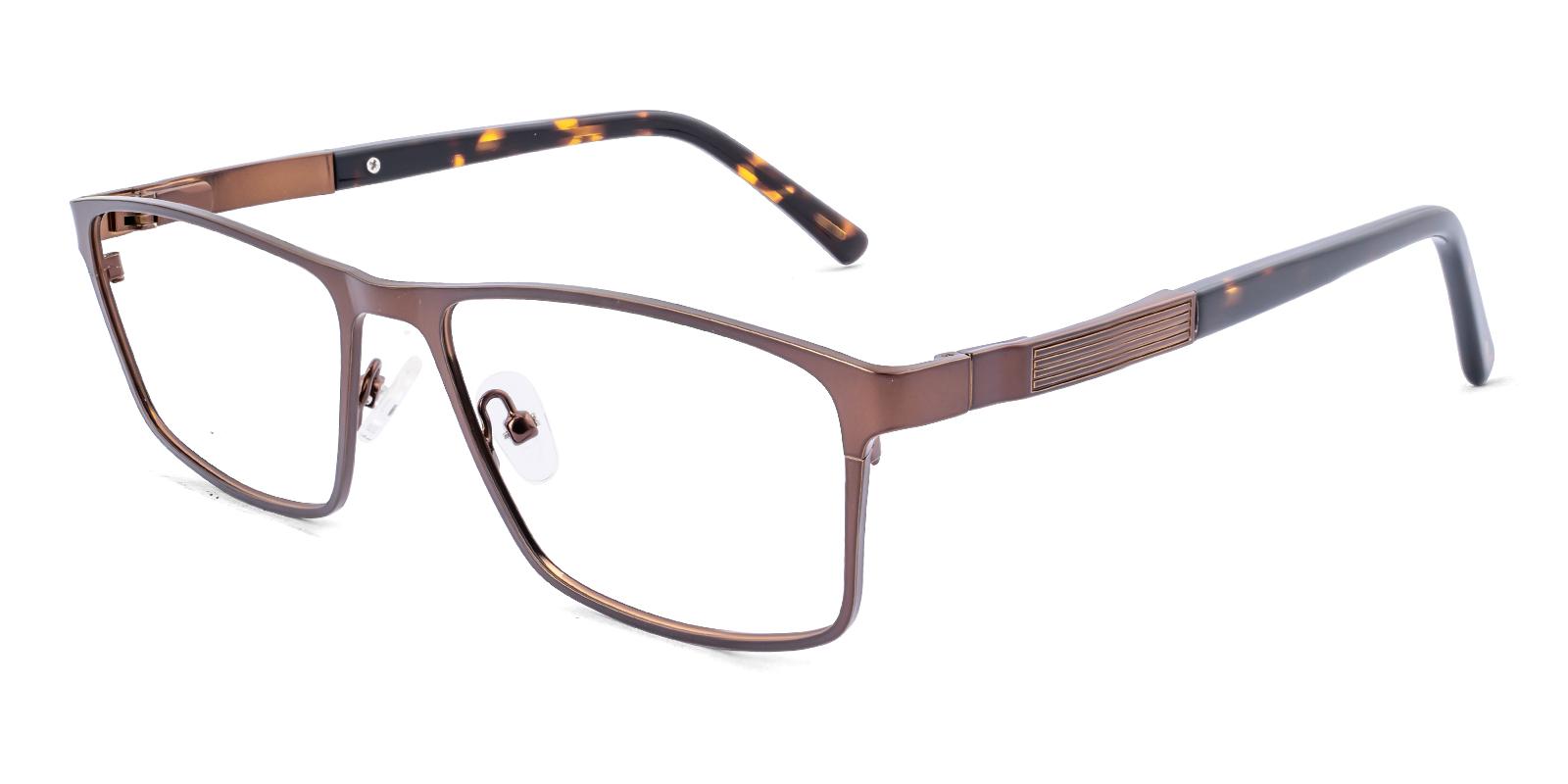 Varmint Brown Acetate , Metal Eyeglasses , SpringHinges , NosePads Frames from ABBE Glasses