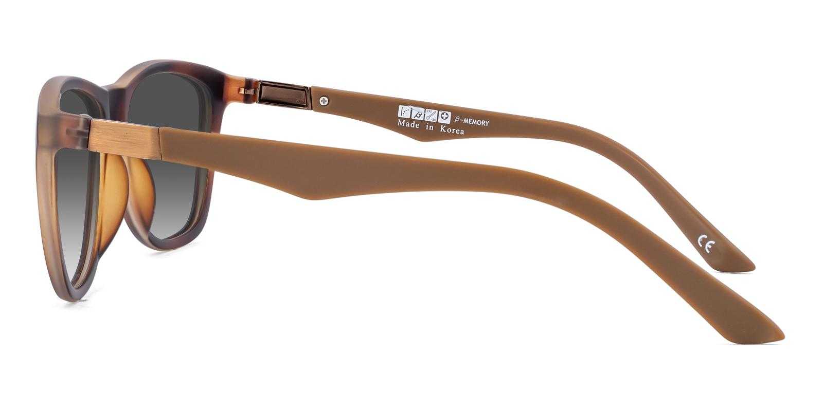 Lampads Brown TR Sunglasses , UniversalBridgeFit Frames from ABBE Glasses