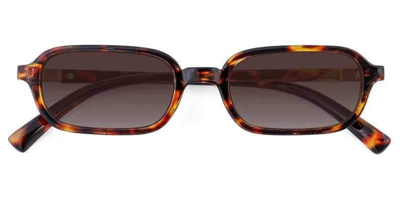 Arizona Tortoise  Frames from ABBE Glasses