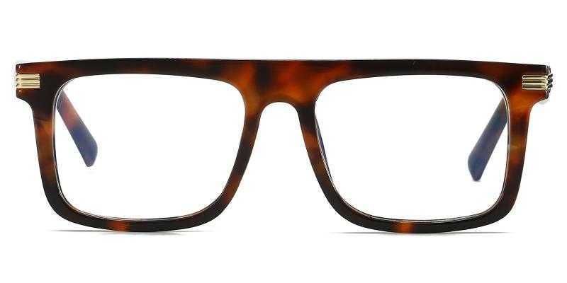 Milwaukee Tortoise  Frames from ABBE Glasses