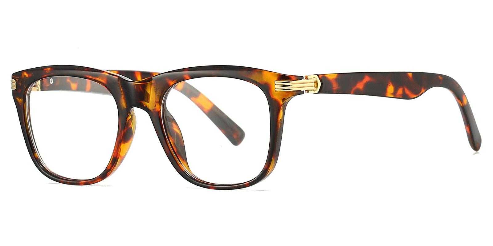 Katherine Tortoise Plastic Eyeglasses , UniversalBridgeFit Frames from ABBE Glasses