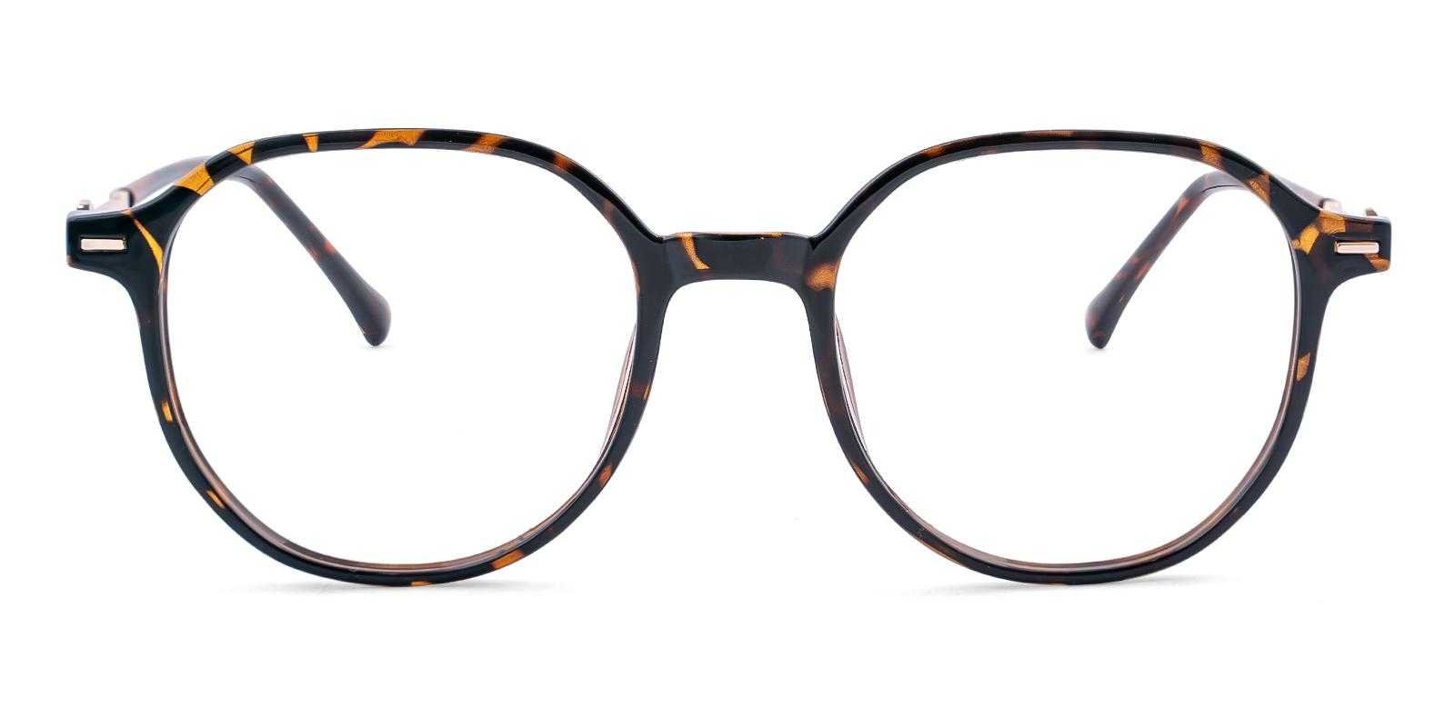 Pete Tortoise TR Eyeglasses , UniversalBridgeFit Frames from ABBE Glasses