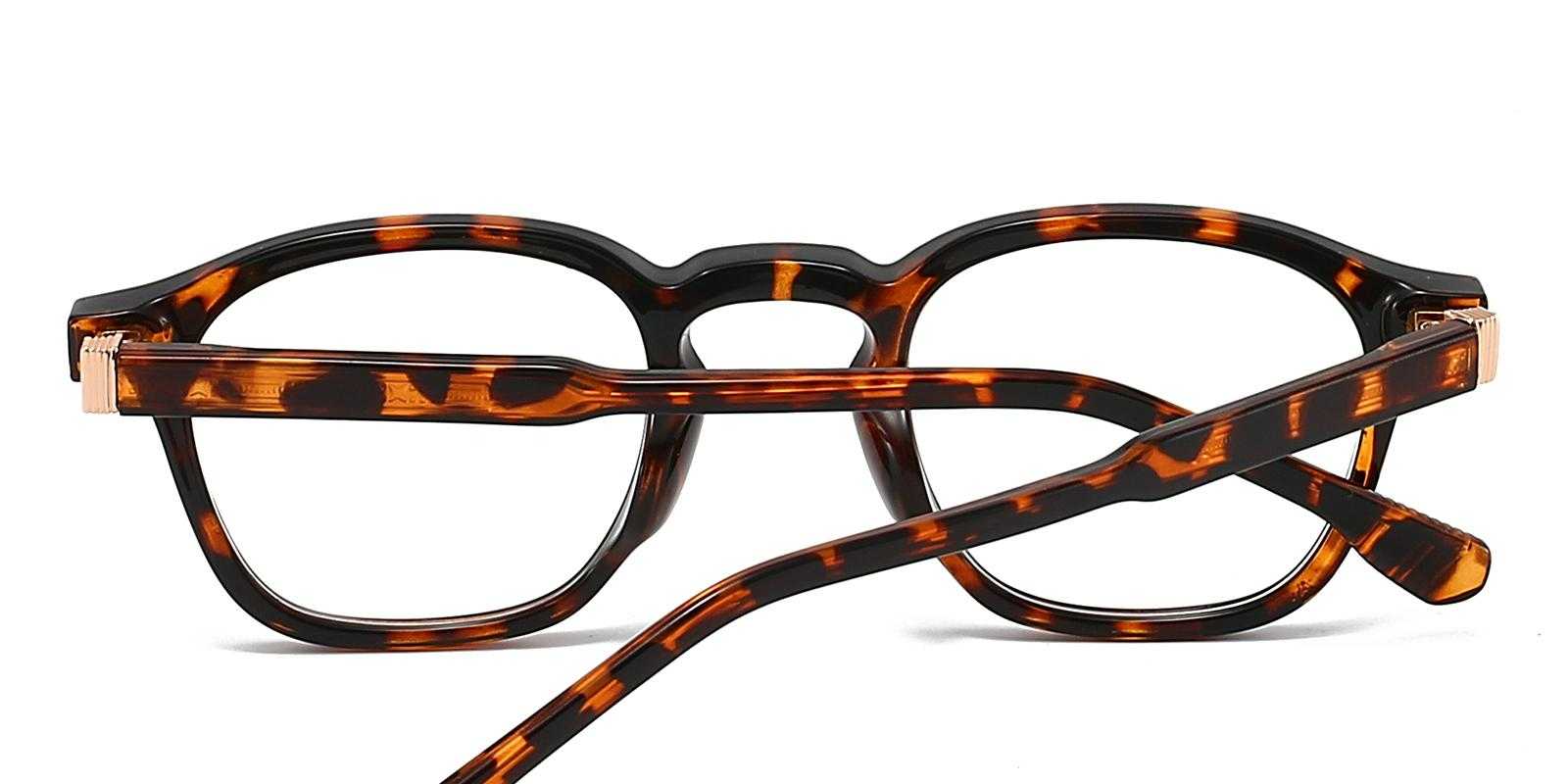 Charlie Tortoise TR Eyeglasses , UniversalBridgeFit Frames from ABBE Glasses