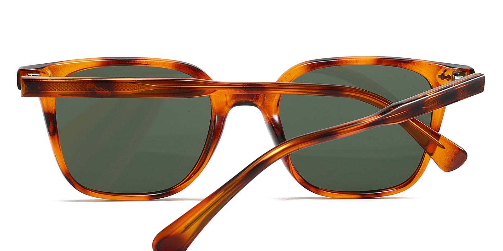 Tawana Tortoise TR Sunglasses , UniversalBridgeFit Frames from ABBE Glasses