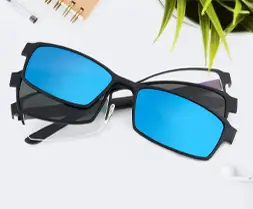 Magnetic Glasses