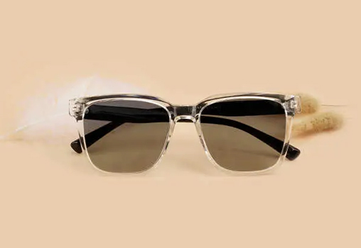 Clear Frame Sunglasses