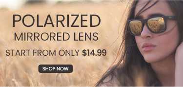 Polarized Mirrored Sunglasses